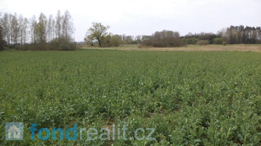 Prodej pole, Žíšov, 3467 m2