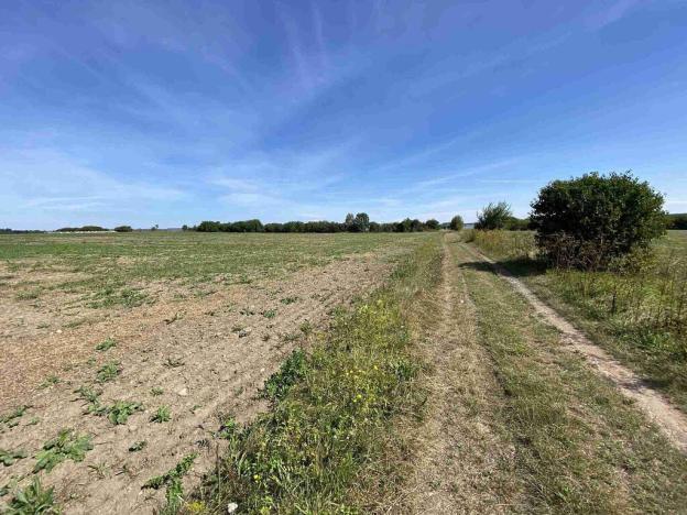 Prodej komerčního pozemku, České Velenice, 26974 m2