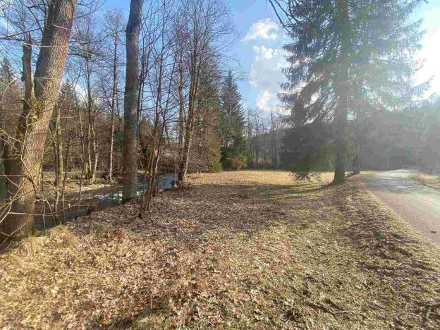 Prodej pozemku, Bartošovice v Orlických horách, 2009 m2