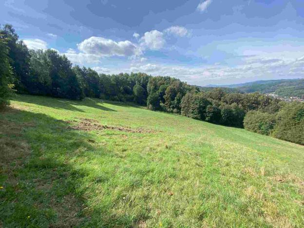 Prodej pozemku, Sobotín, 10593 m2