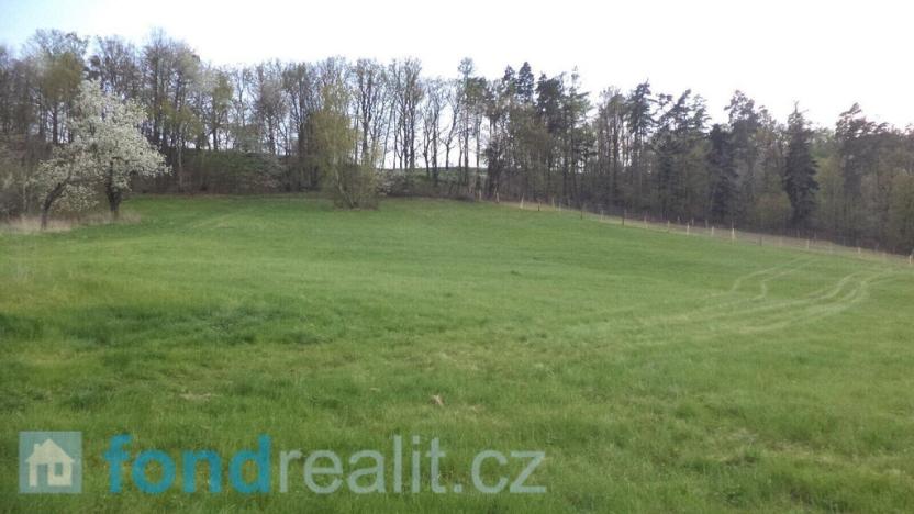 Prodej pozemku, Brumovice, 15626 m2