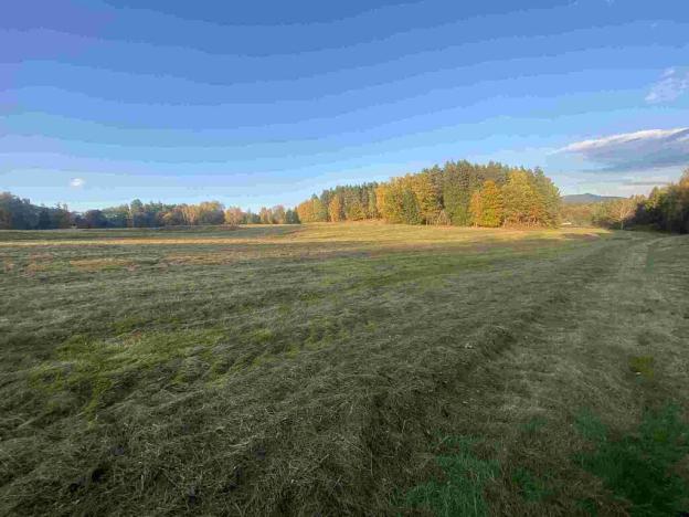 Prodej pole, Cvikov - Trávník, 16894 m2