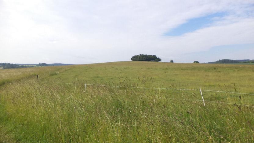 Prodej pozemku, Horní Štěpánov, 4031 m2