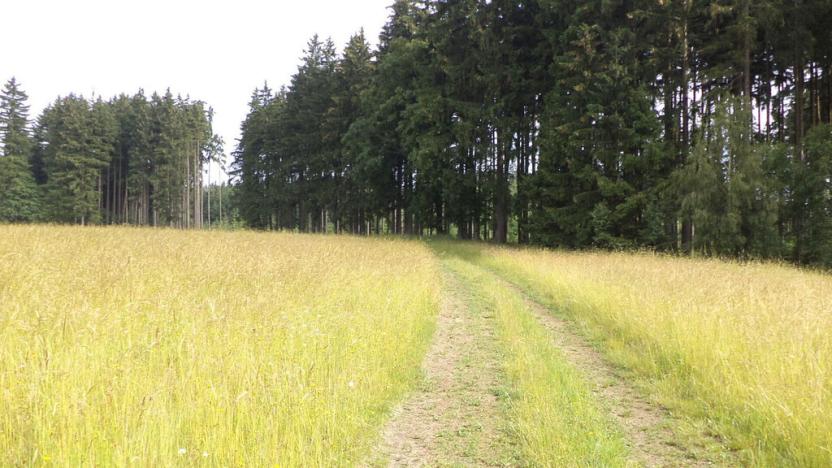 Prodej pozemku, Horní Štěpánov, 4031 m2