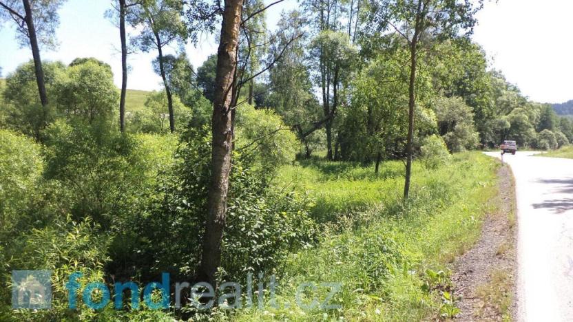 Prodej pozemku, Dolní Dvořiště - Jenín, 18903 m2