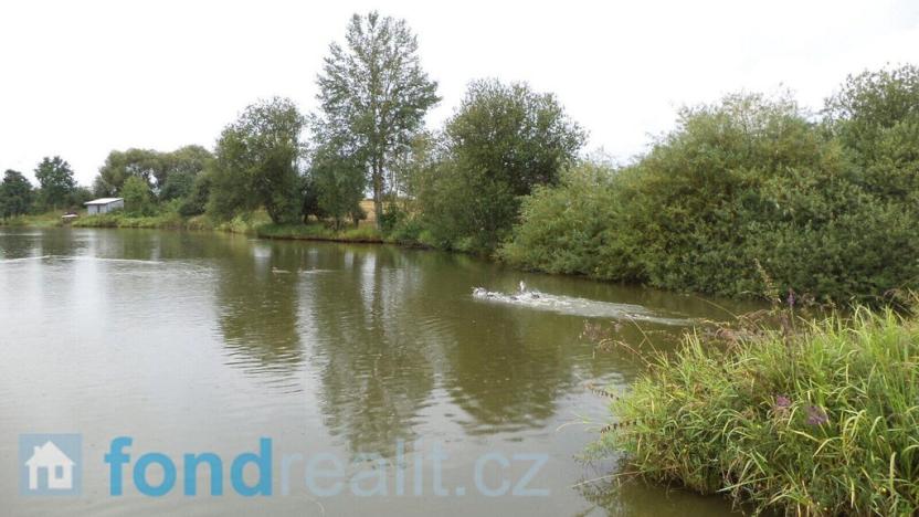 Prodej pozemku, Kocelovice, 5241 m2