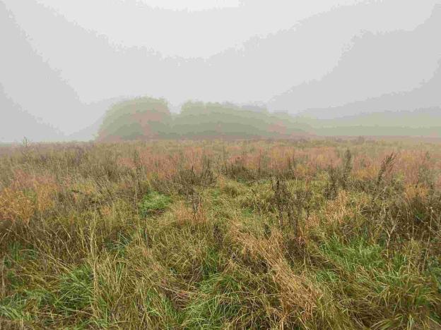 Prodej pole, Verneřice, 22839 m2