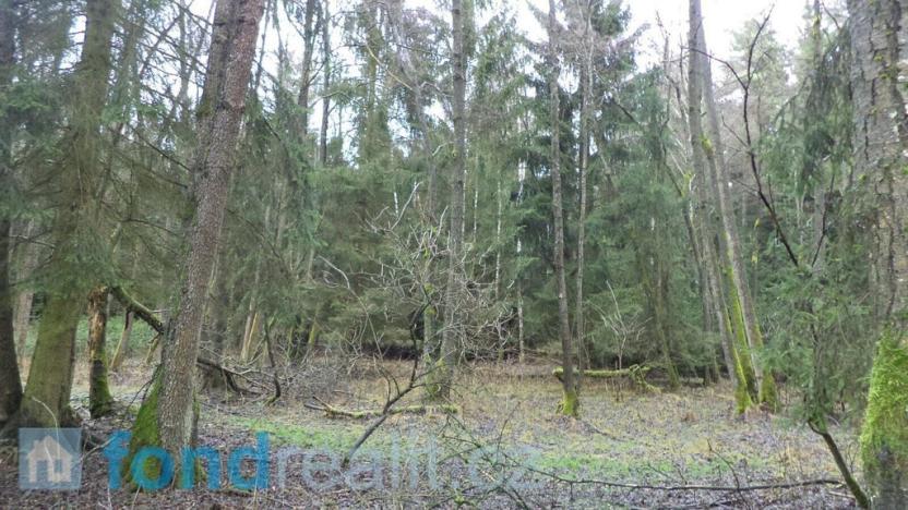 Prodej lesa, Myslkovice, 9683 m2