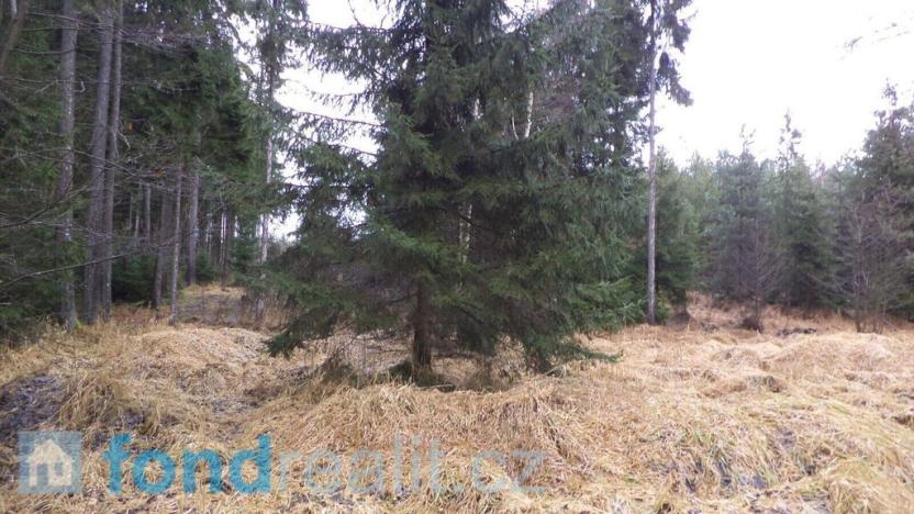 Prodej lesa, Myslkovice, 9683 m2