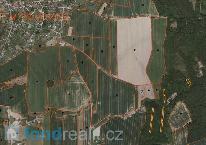 Prodej lesa, Myslkovice, 9683 m2