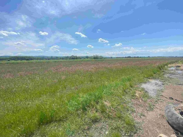 Prodej pozemku, Kravaře, 2873 m2