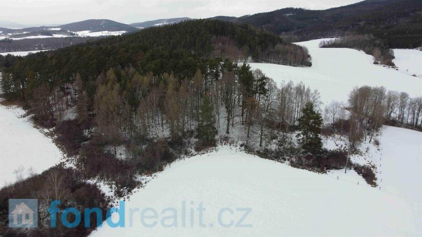 Prodej pozemku, Kájov - Křenov, 23451 m2