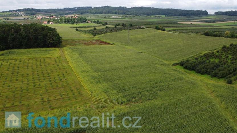 Prodej pole, Malovice - Krtely, 4926 m2