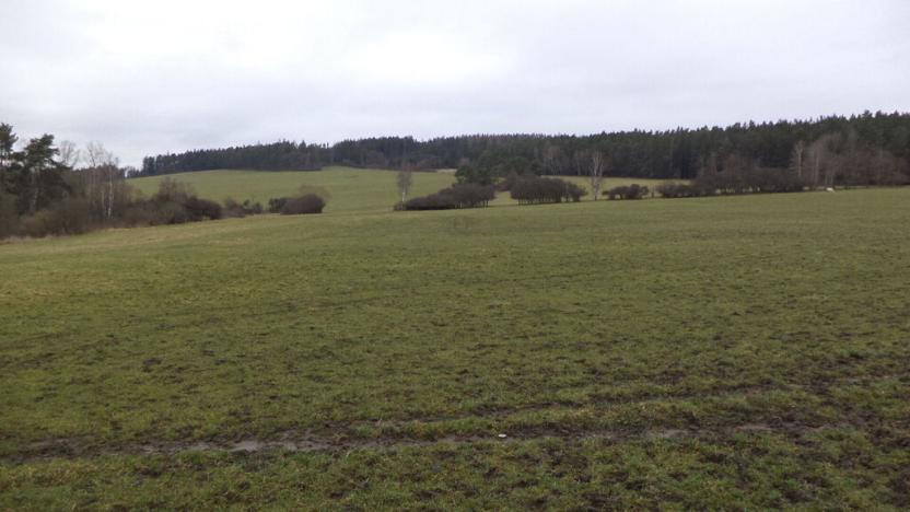 Prodej komerčního pozemku, Srby, 2298 m2