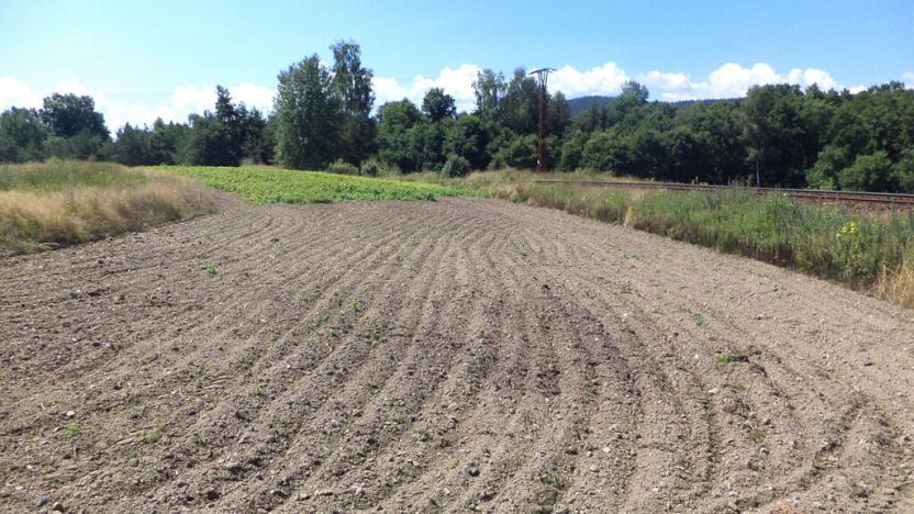 Prodej pozemku, Stráž, 15644 m2