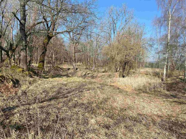 Prodej pozemku, Dolní Dvořiště - Všeměřice, 11107 m2