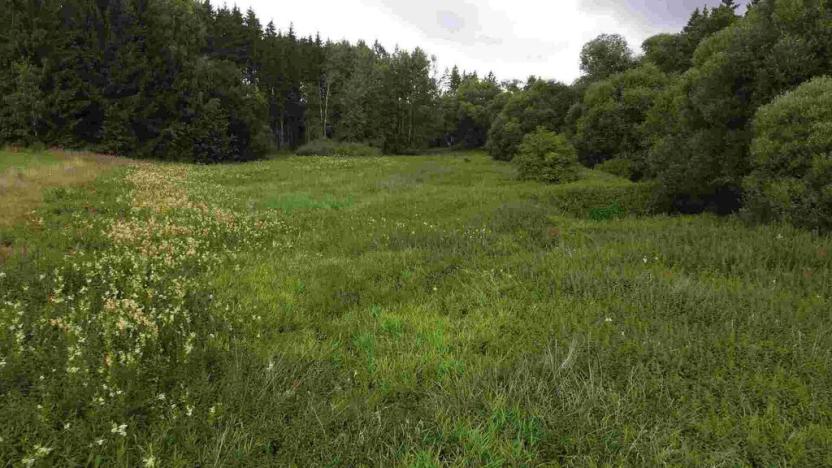 Prodej pole, Chýnov - Dobronice u Chýnova, 22334 m2