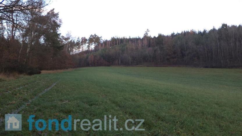 Prodej pole, Blíževedly, 52791 m2