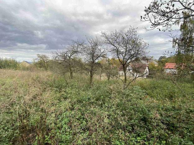 Prodej pozemku, Javorník - Horní Hoštice, 1651 m2