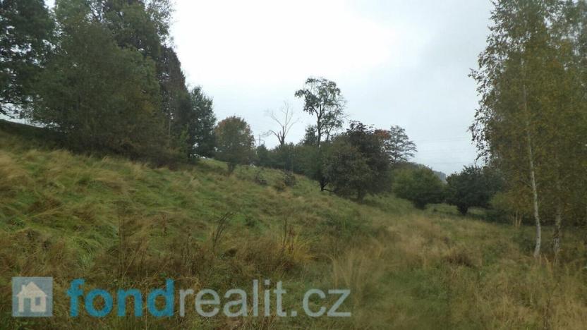 Prodej pozemku, Chřibská, 11994 m2