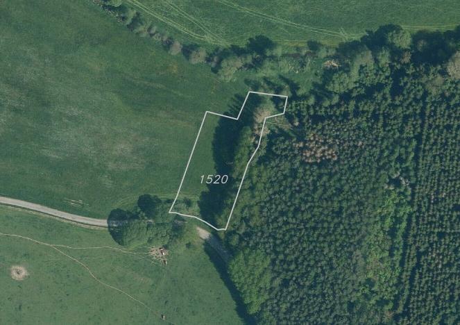 Prodej pole, Chodský Újezd - Nahý Újezdec, 25088 m2