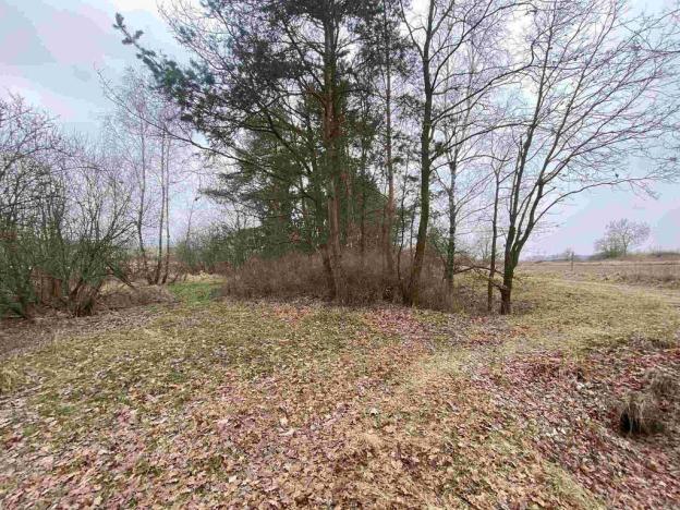 Prodej pozemku, Drahonice - Albrechtice, 2121 m2