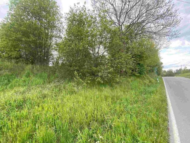 Prodej pozemku, Břidličná - Vajglov, 705 m2