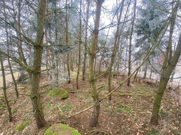 Prodej pole, Slatina, 11302 m2