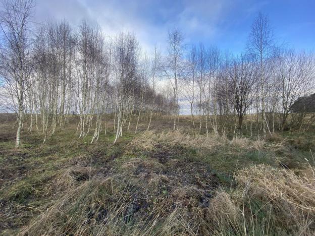 Prodej pozemku, Kaplice - Pořešín, 11526 m2