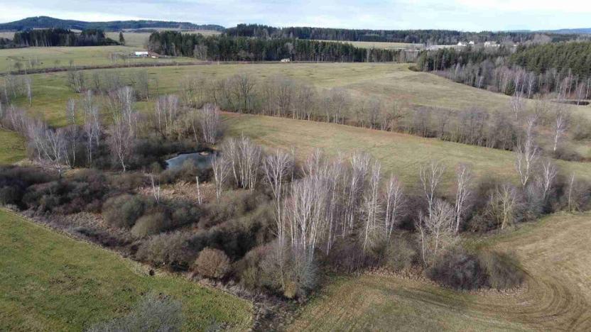 Prodej pozemku, Dolní Dvořiště - Trojany, 18915 m2