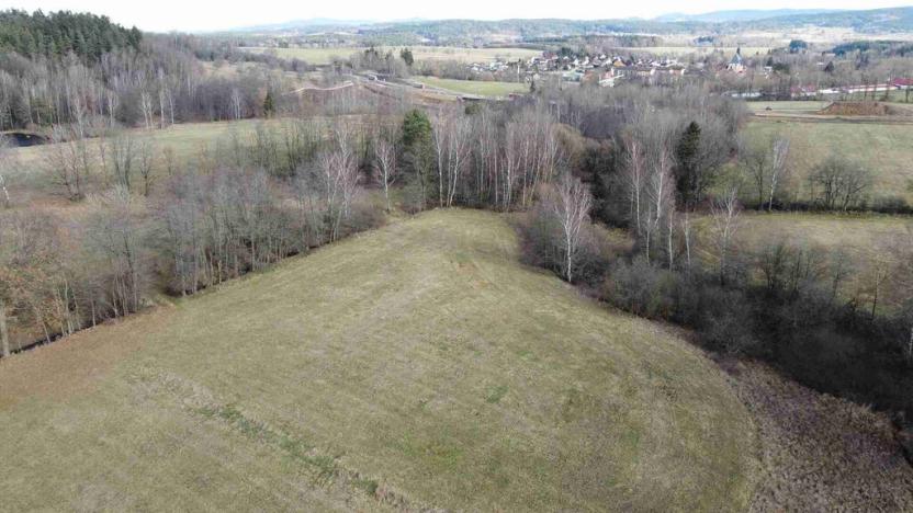 Prodej pozemku, Dolní Dvořiště - Trojany, 18915 m2