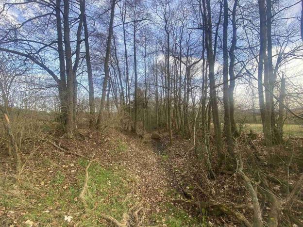 Prodej pozemku, Dolní Dvořiště - Trojany, 18915 m2