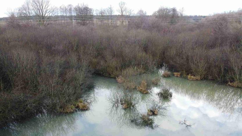 Prodej pozemku, Nové Hrady - Štiptoň, 35772 m2