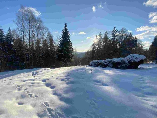 Prodej pozemku, Albrechtice v Jizerských horách, 4671 m2