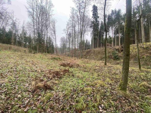 Prodej pozemku, Hosín - Dobřejovice, 10244 m2