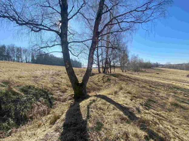 Prodej pole, Rozvadov - Svatá Kateřina, 60693 m2