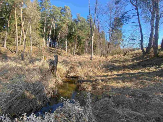 Prodej pole, Rozvadov - Svatá Kateřina, 60693 m2