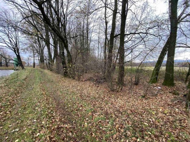 Prodej pozemku, Horní Stropnice - Svébohy, 1287 m2