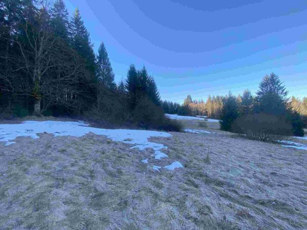 Prodej pozemku, Železná Ruda, 2377 m2