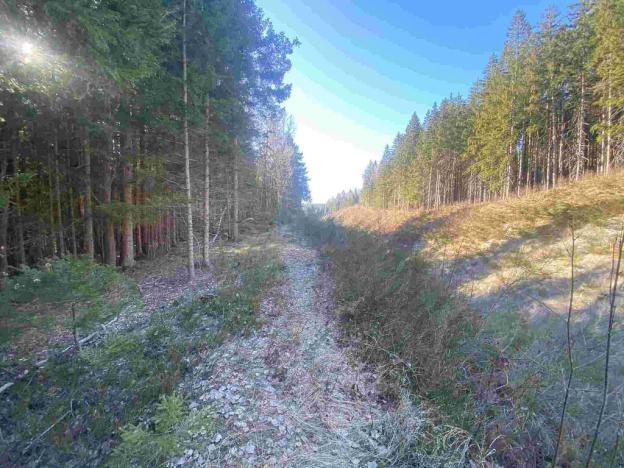 Prodej pozemku, Železná Ruda - Špičák, 1644 m2