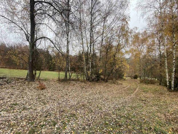 Prodej pole, Chvalšiny, 1158 m2