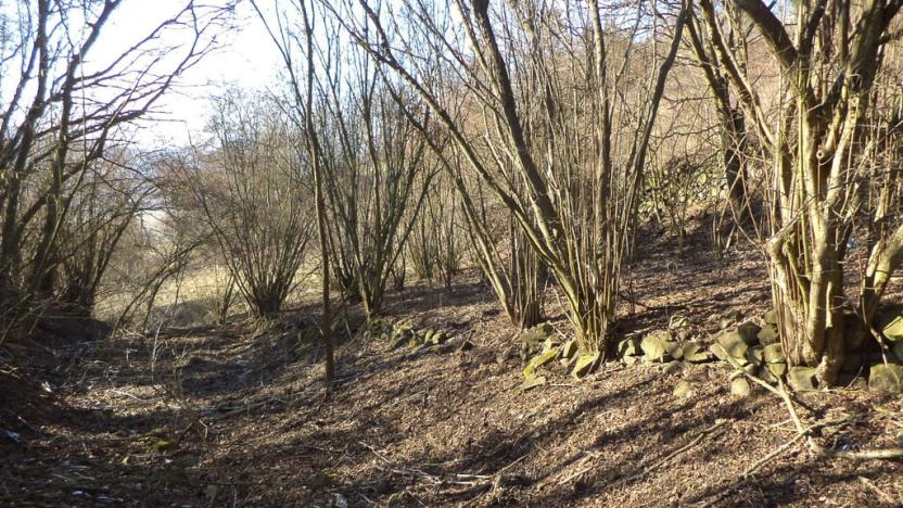 Prodej zahrady, Trmice, 3440 m2