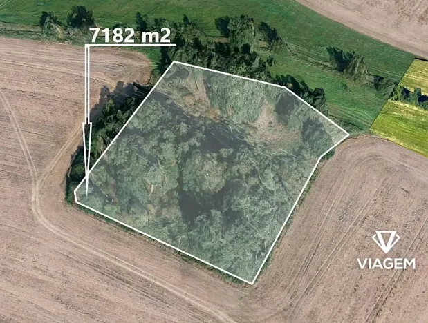 Prodej lesa, Jindřichův Hradec, 7182 m2