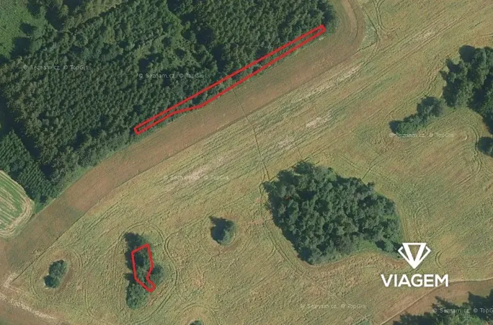 Prodej lesa, Věchnov, 415 m2