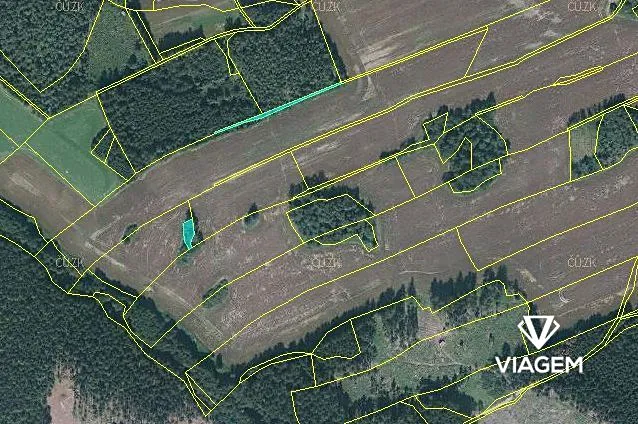 Prodej lesa, Věchnov, 415 m2