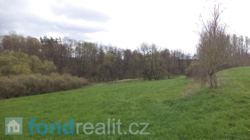 Prodej pole, Tachov, 55727 m2