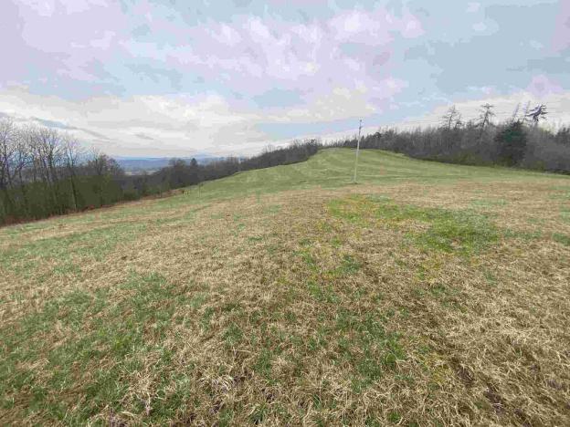 Prodej pole, Mírová pod Kozákovem, 20044 m2