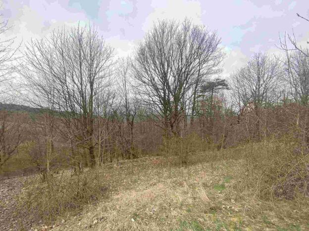 Prodej pole, Mírová pod Kozákovem, 20044 m2