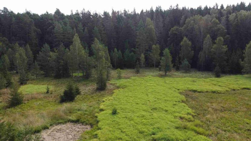 Prodej pole, Rozvadov, 52176 m2