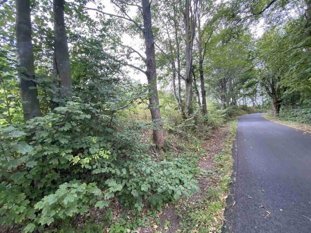 Prodej pole, Dolní Nivy, 1197 m2